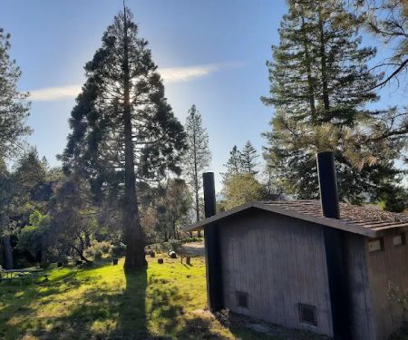 Bushay Camp Ground Little Bear Campsite