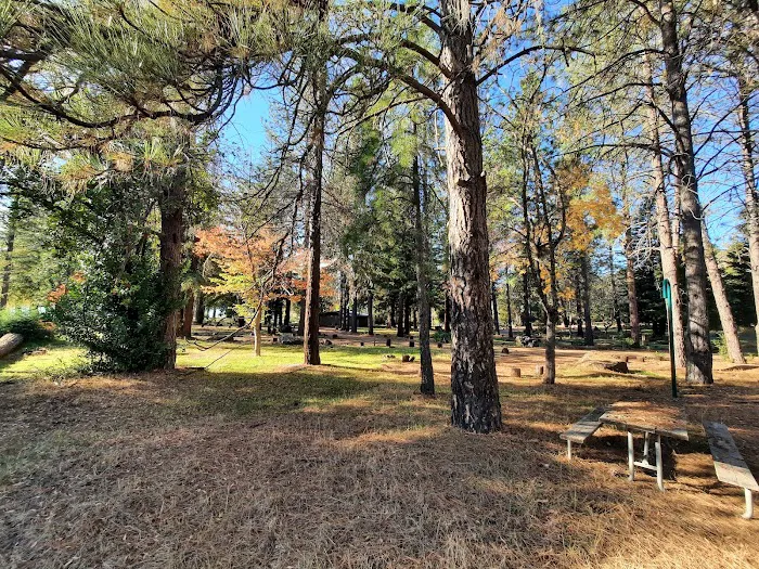 Bushay Camp Ground Little Bear Campsite Picture 4