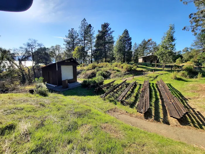 Bushay Camp Ground Little Bear Campsite Picture 7