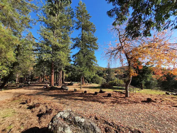 Bushay Camp Ground Little Bear Campsite Picture 6