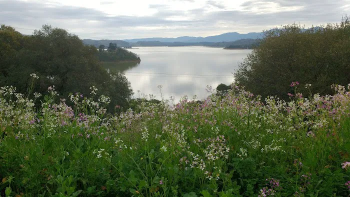 Bushay Recreation Area Picture 10