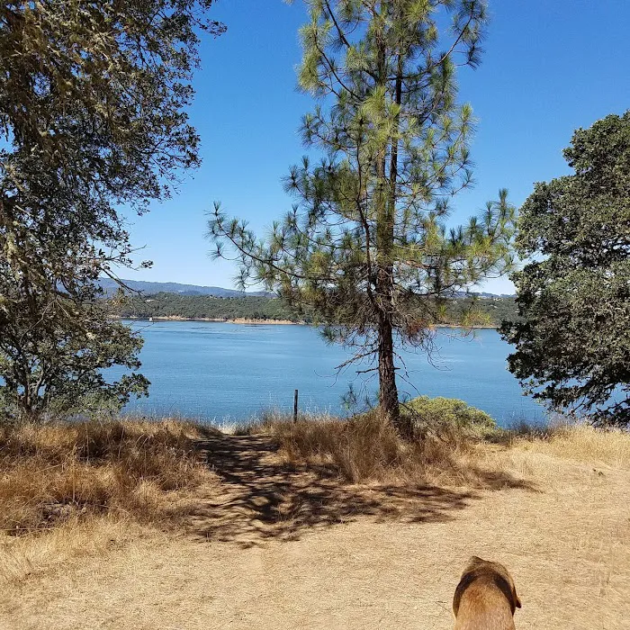 Bushay Recreation Area Picture 9
