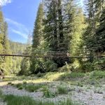 Camp Liahona Redwoods