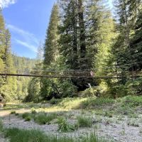 Camp Liahona Redwoods ico