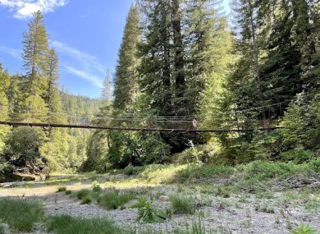 Camp Liahona Redwoods