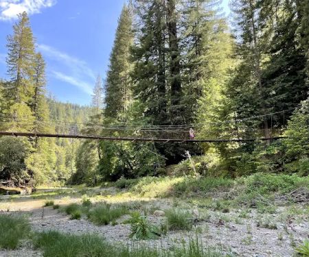 Camp Liahona Redwoods