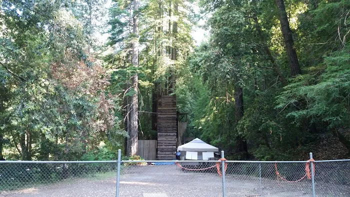 Camp Liahona Redwoods Picture 7