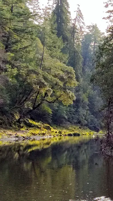 Camp Liahona Redwoods Picture 2