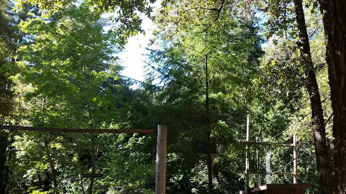 Camp Liahona Redwoods Picture 8