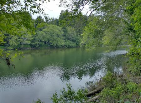 Gualala Point Regional Park Campground