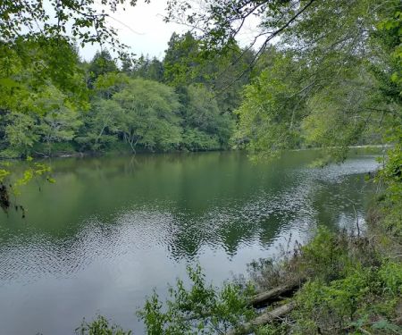 Gualala Point Regional Park Campground