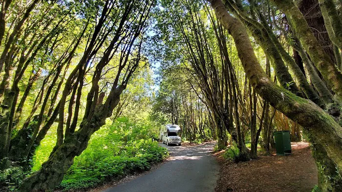 Gualala Point Regional Park Campground Picture 3
