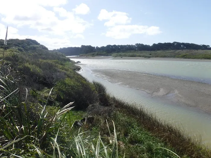 Gualala Point Regional Park Campground Picture 4