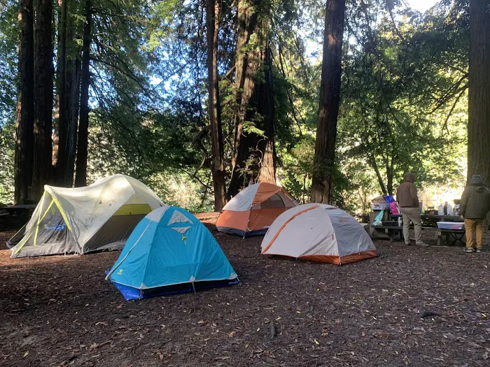 Gualala Point Regional Park Campground Picture 5