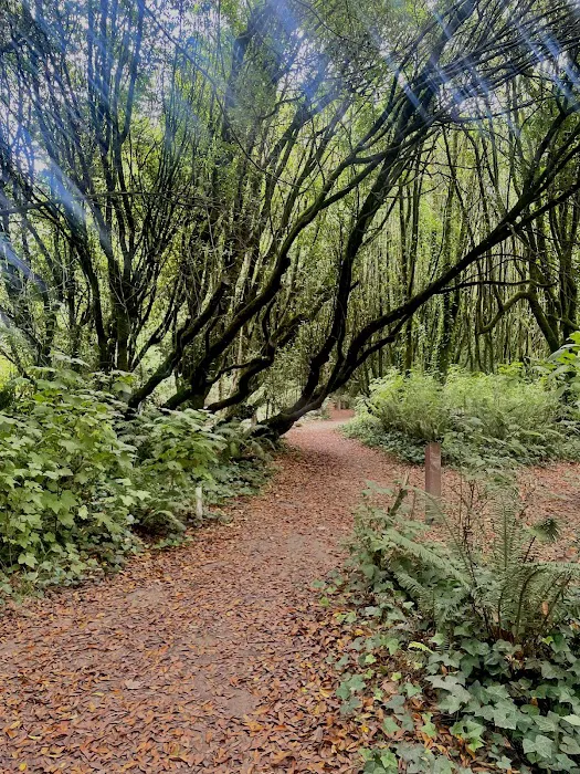 Gualala Point Regional Park Campground Picture 10