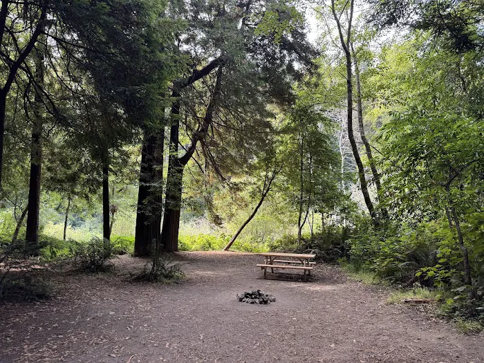 Gualala River Redwood Park Picture 6