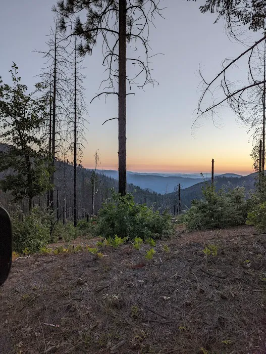 Penny Pines Campground Picture 8
