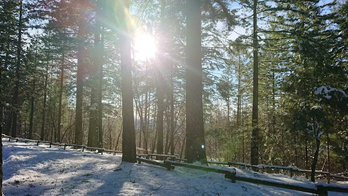 Penny Pines Campground Picture 4