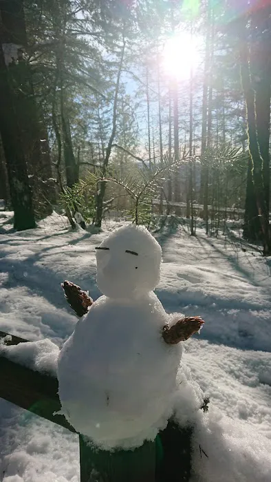 Penny Pines Campground Picture 1