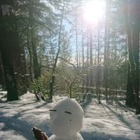 Penny Pines Campground ico