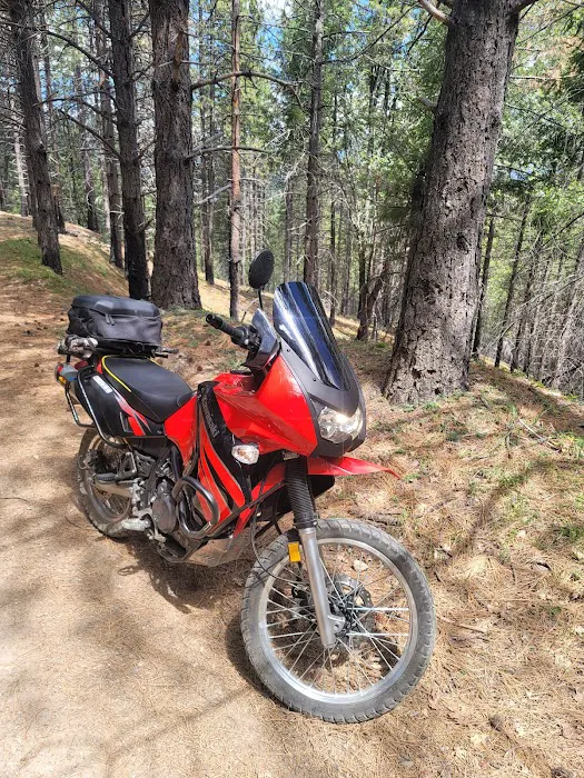 Penny Pines Campground Picture 3
