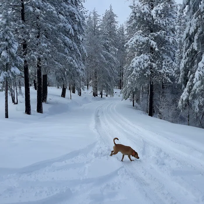 Penny Pines Campground Picture 7