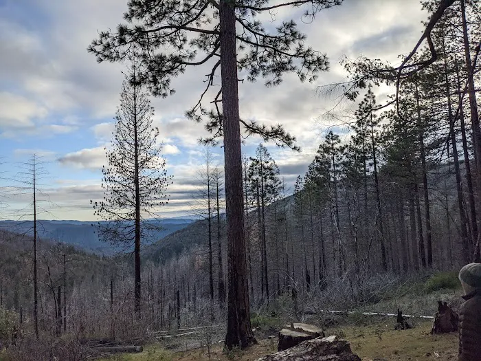 Penny Pines Campground Picture 10