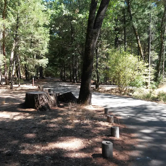 Trout Creek Campground Picture 4