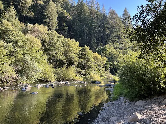 Trout Creek Campground Picture 1
