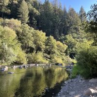 Trout Creek Campground ico