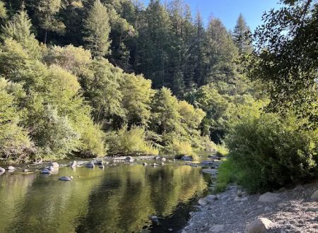 Trout Creek Campground