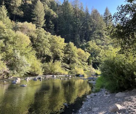 Trout Creek Campground