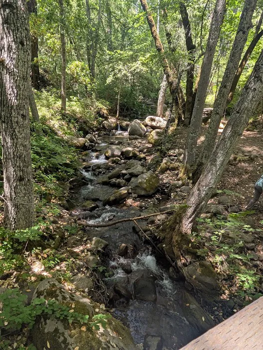 Trout Creek Campground Picture 6