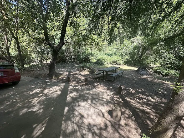 Trout Creek Campground Picture 5