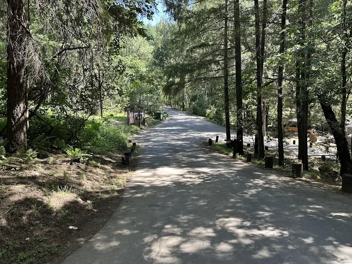 Trout Creek Campground Picture 9