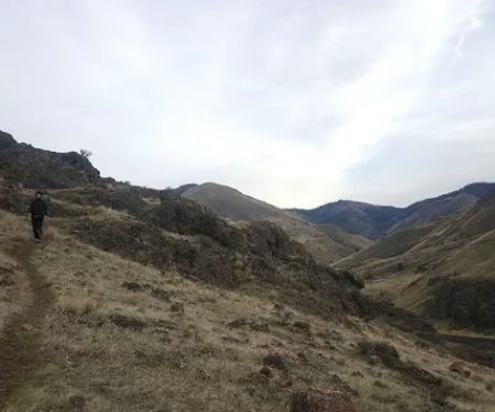 Buckskin Mary Campsite