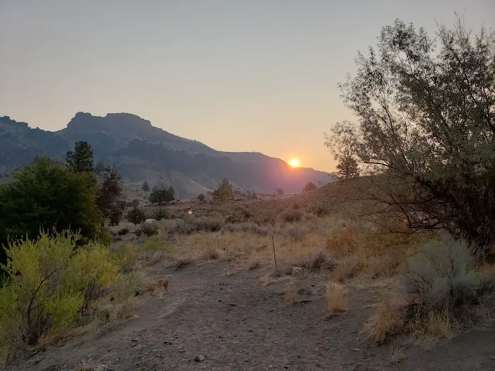 Buckskin Mary Campsite Picture 10