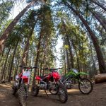 McCubbins Gulch Campground