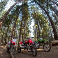 McCubbins Gulch Campground ico