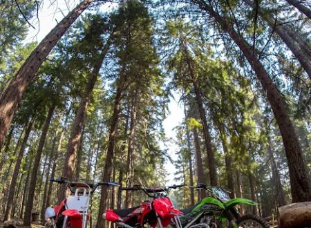McCubbins Gulch Campground