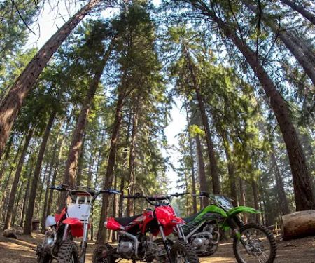 McCubbins Gulch Campground