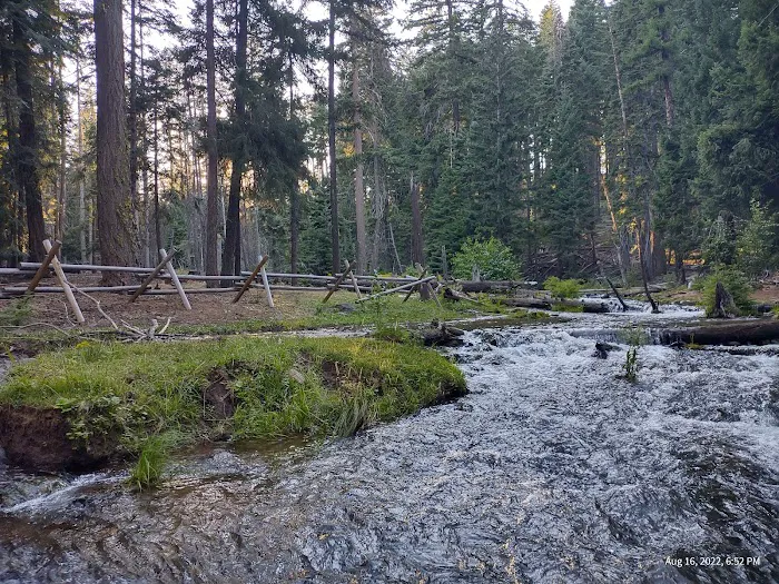 McCubbins Gulch Campground Picture 5
