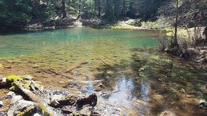 McCubbins Gulch Campground Picture 7