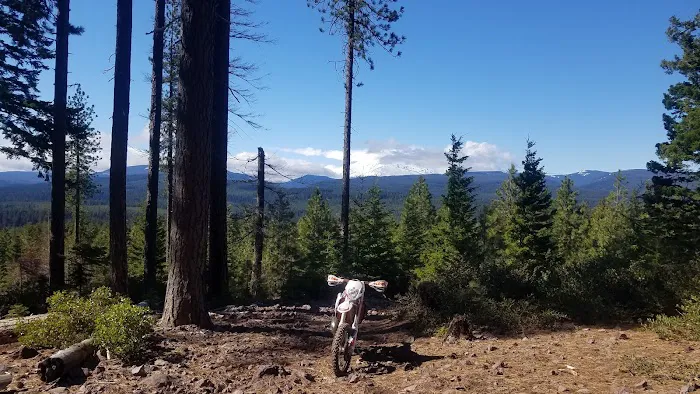 McCubbins Gulch Campground Picture 9