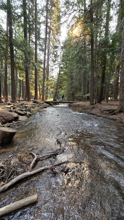 McCubbins Gulch Campground Picture 8