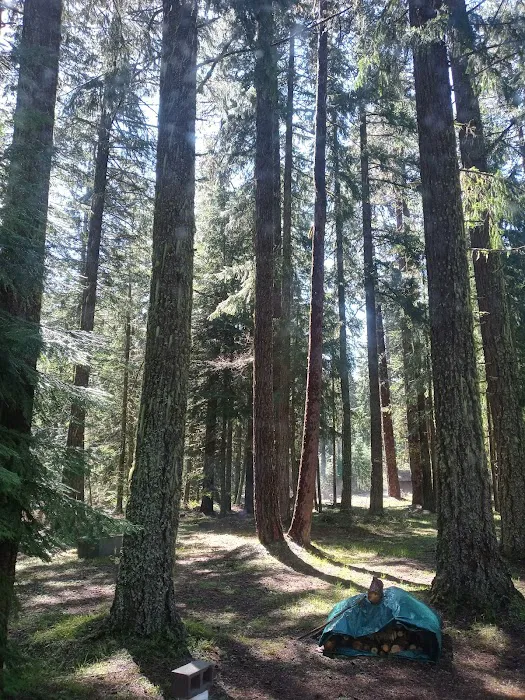Spring Drive RV Campground Picture 1