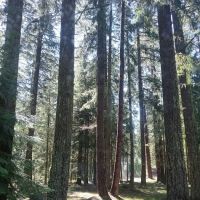 Spring Drive RV Campground ico