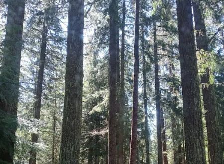 Spring Drive RV Campground