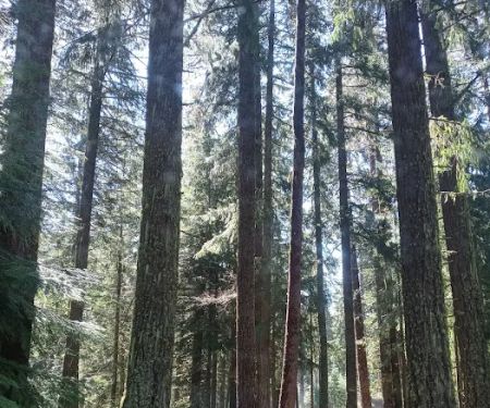 Spring Drive RV Campground