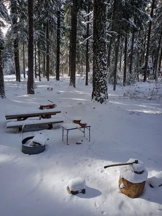 Spring Drive RV Campground Picture 2
